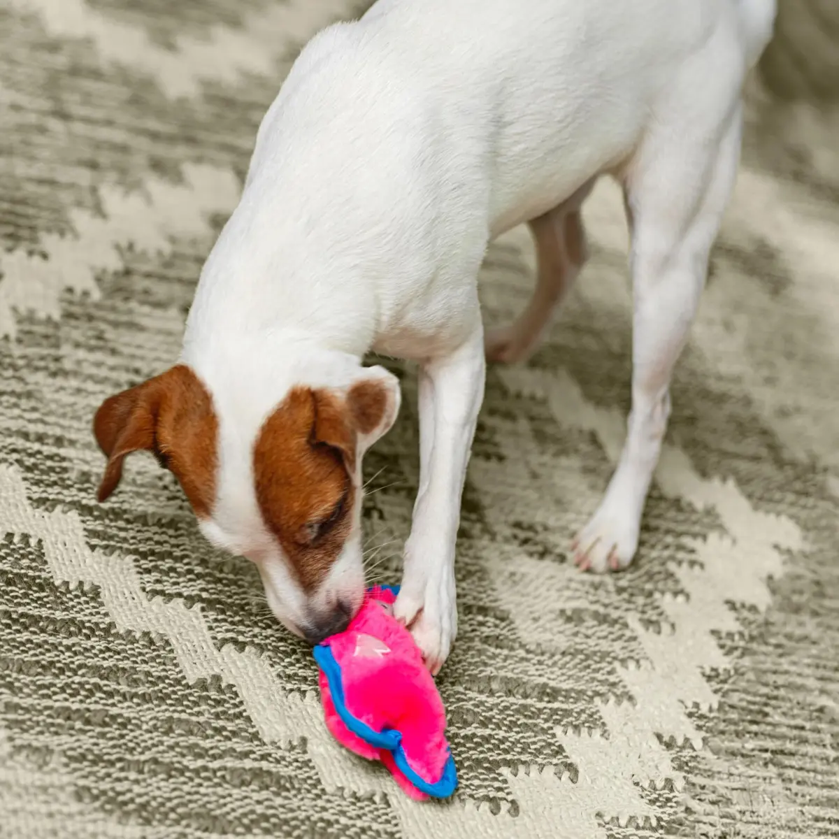 Outward Hound Durablez Minis Tough Chew Plush Squeaky Dog Toy Pig 17.3 cm (6.8") | Stuffing-Free Interactive Play - view 5