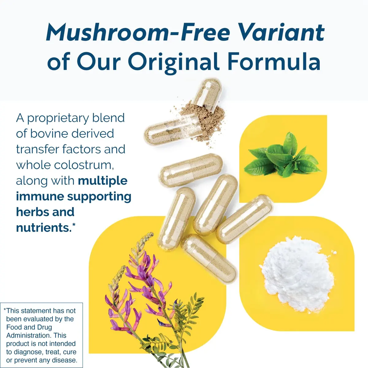 Researched Nutritionals Transfer Factor Multi-Immune Colostrum Supplement - Mushroom-Free, 90 Capsules | Supports Immune Function - view 3