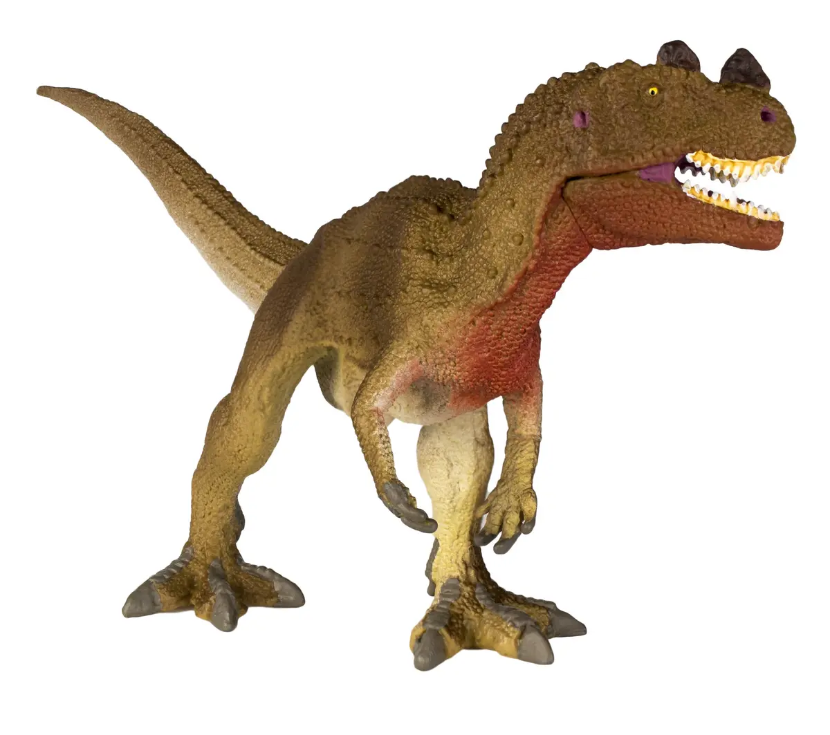 Safari Ltd. Ceratosaurus Figurine - Detailed 7.75" Dinosaur Figure for Kids 3+ | Educational Dinosaur Toy - view 3