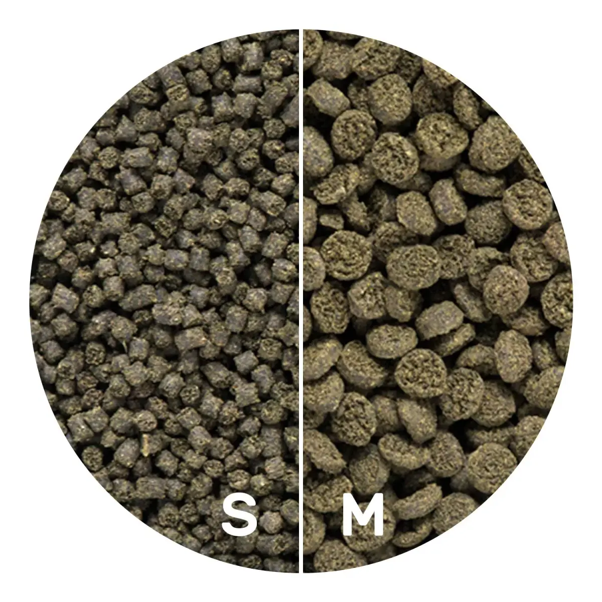 Hikari Seaweed Extreme Floating Pellets for Marine Herbivores 45g (1.58oz) | Promotes Growth & Immunity - view 4