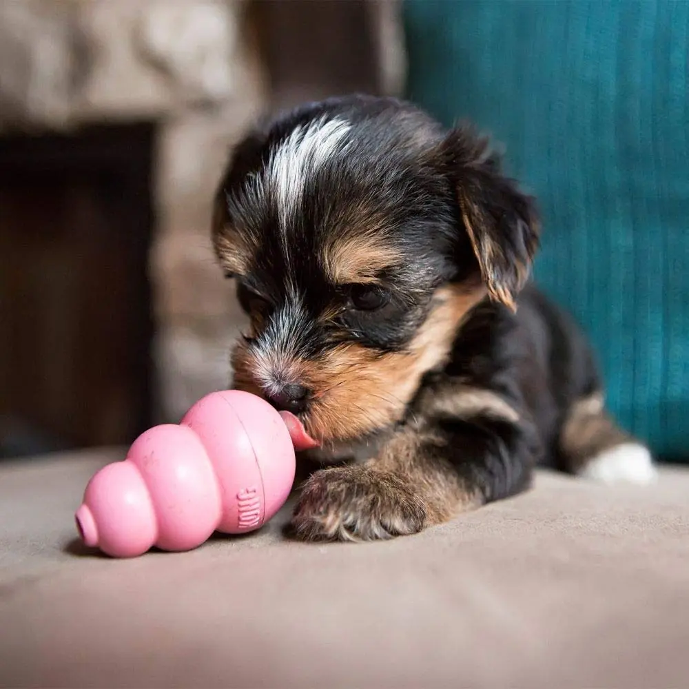 KONG Puppy Natural Rubber Teething Chew Toy for XS Puppies | Gentle, Bounce & Stuffable - view 2