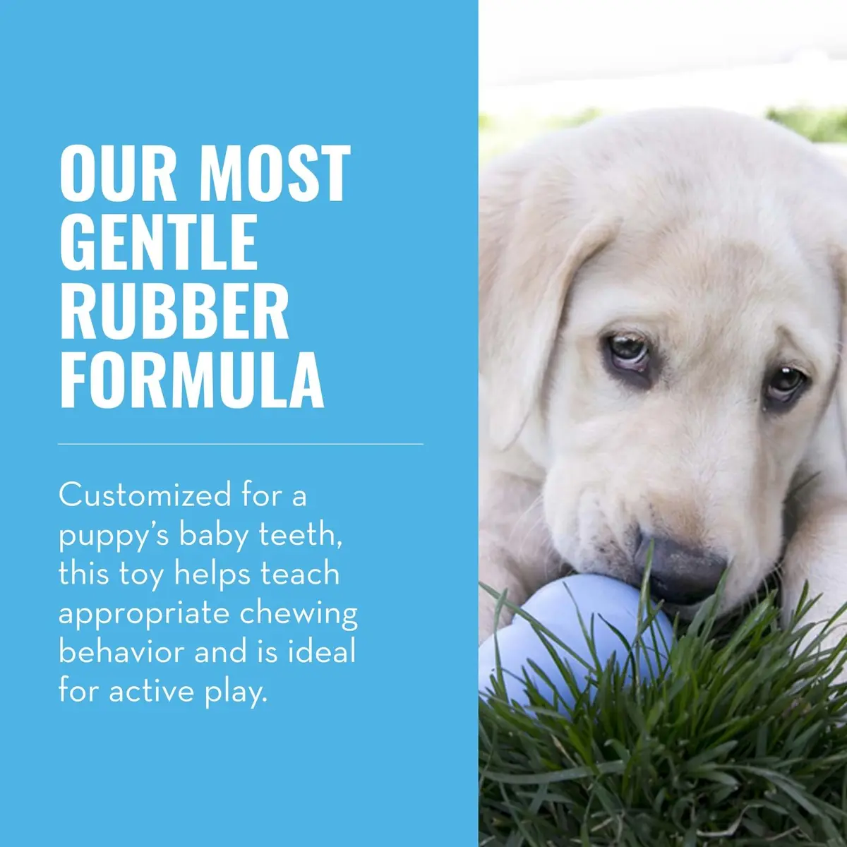 KONG Puppy Natural Rubber Teething Chew Toy for XS Puppies | Gentle, Bounce & Stuffable - view 3