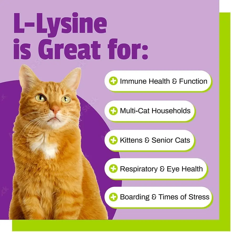 Pet Naturals Lysine Chews for Cats, Chicken Flavor, 60 Count | Immune & Respiratory Support for Cats - view 5