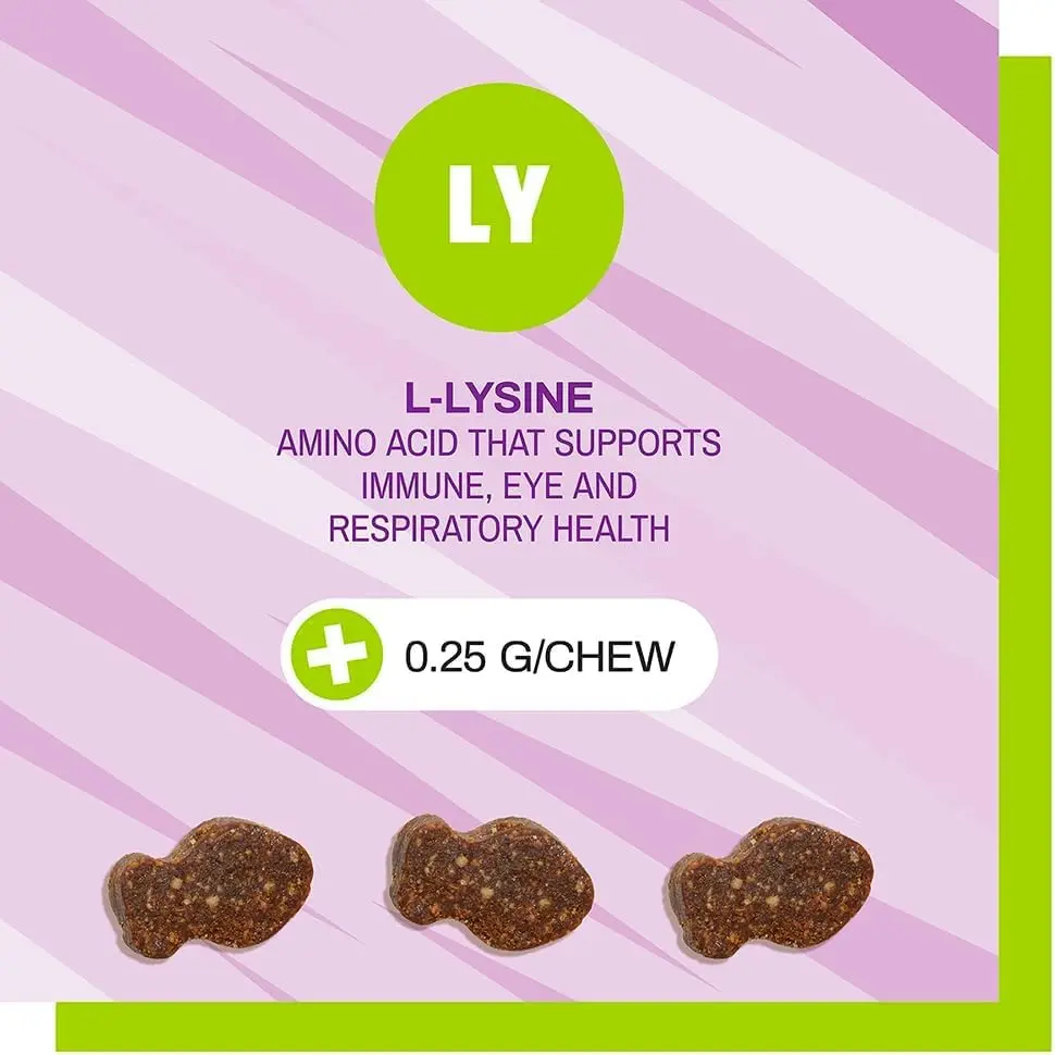 Pet Naturals Lysine Chews for Cats, Chicken Flavor, 60 Count | Immune & Respiratory Support for Cats - view 7