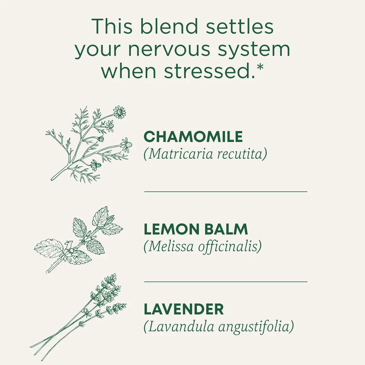 Traditional Medicinals Organic Chamomile with Lavender Herbal Tea 16 Tea Bags (Pack of 1) | Calms Nervous System - view 3