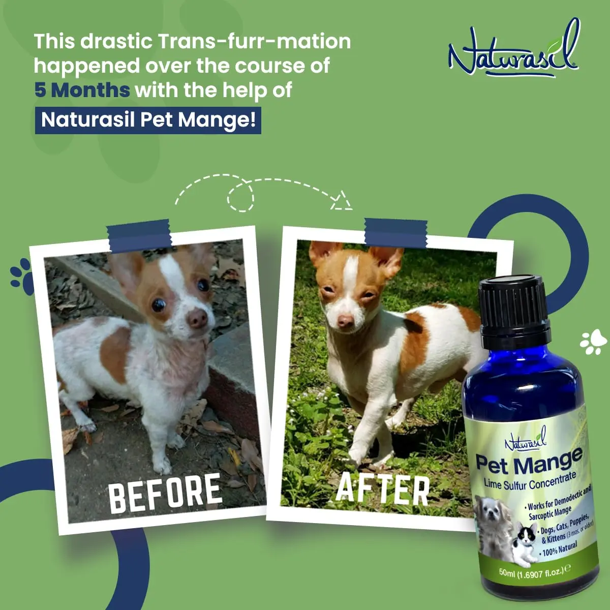Naturasil Mange Treatment Dogs & Cats | Natural Lime Sulfur Dip 50 mL for Animal Mange - view 3