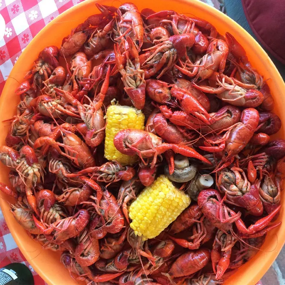 Zatarain's Crawfish, Shrimp & Crab Boil 4.5 lb (2.04 kg) Pack of 6 | Authentic New Orleans Flavor for Seafood - view 5