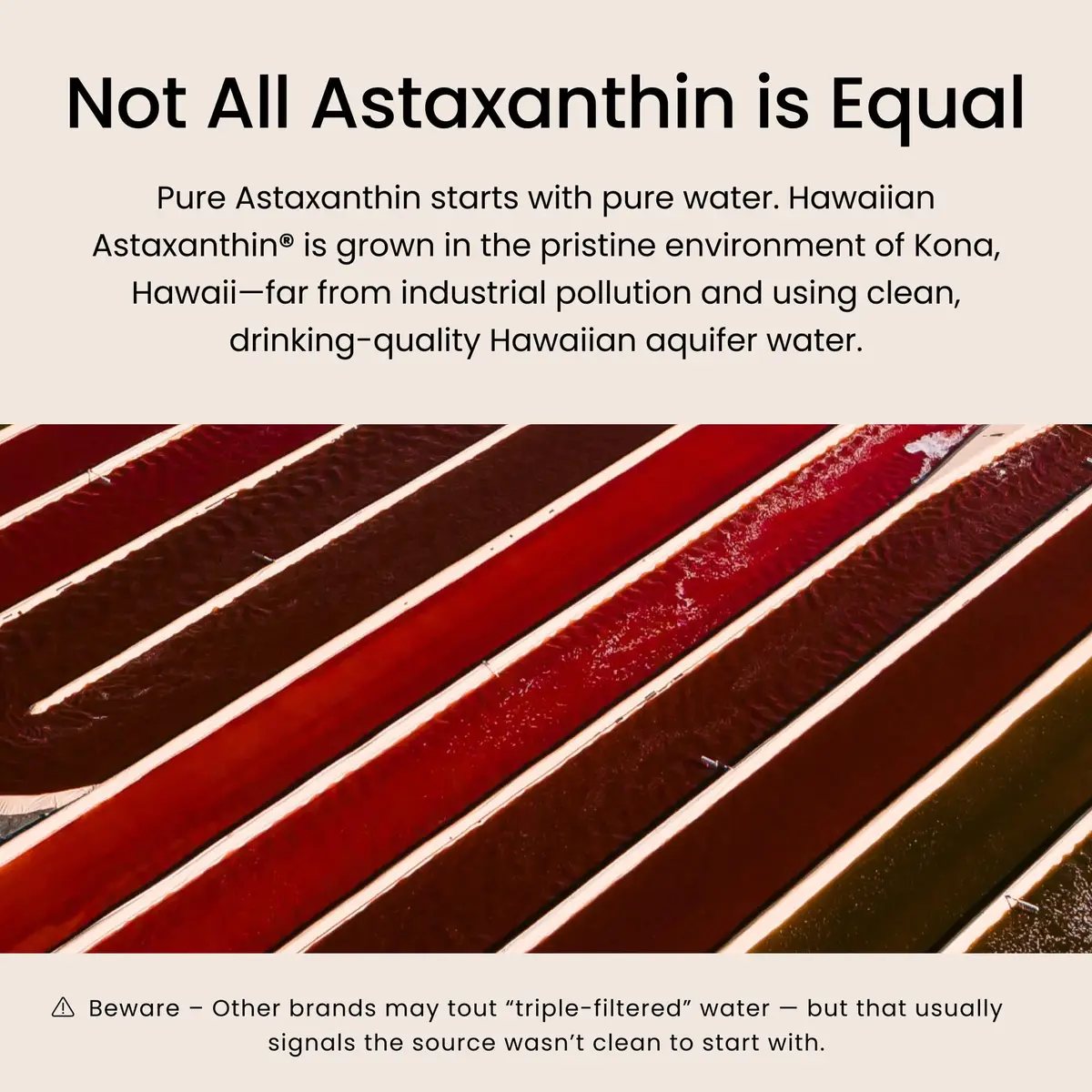 Nutrex Hawaii BioAstin Hawaiian Astaxanthin 12mg | Natural Antioxidant for Eye, Skin & Immune Support - view 5