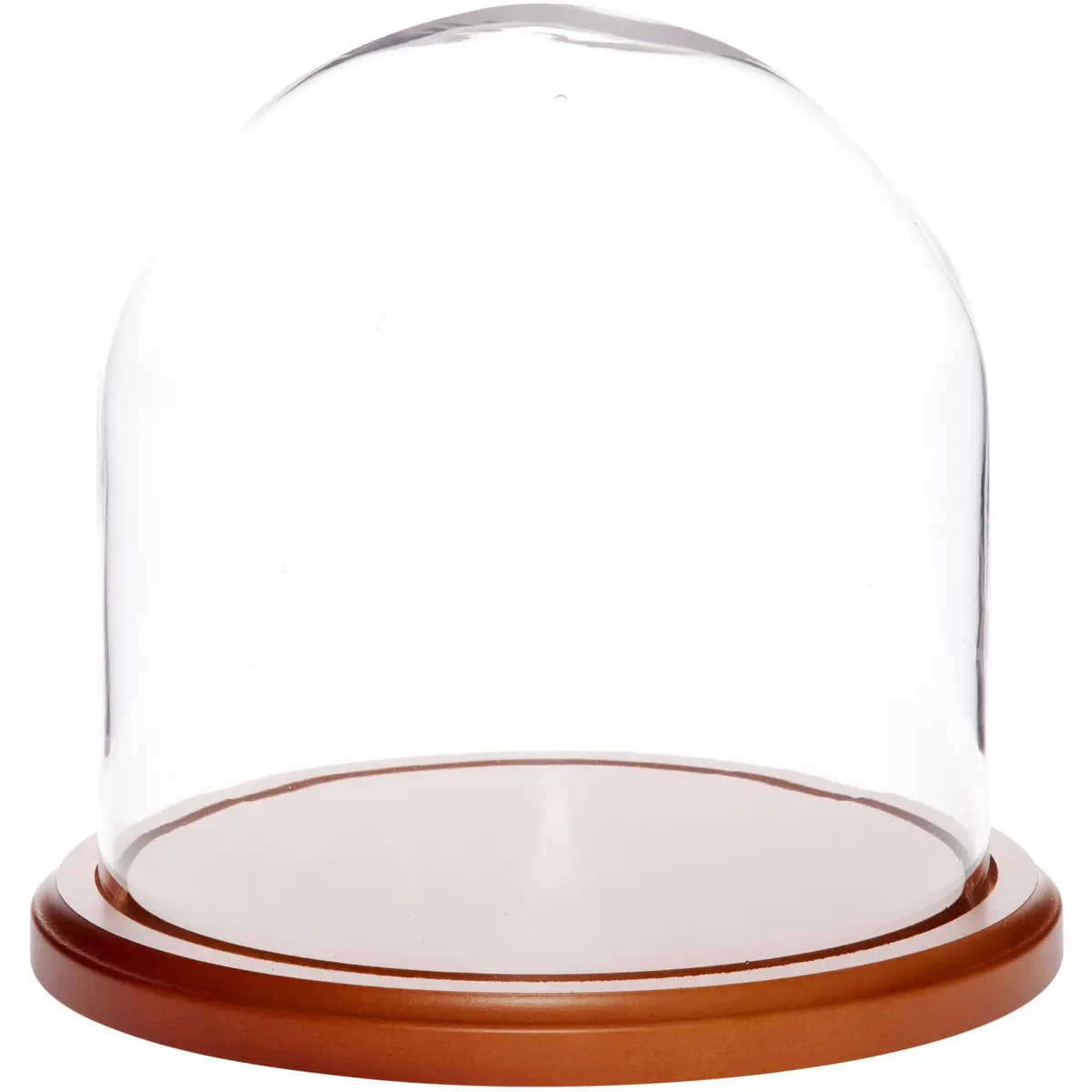 Plymor Glass Display Dome Cloche 8" x 8" Walnut MDF Base | Elegant Home & Retail Decor - main product image