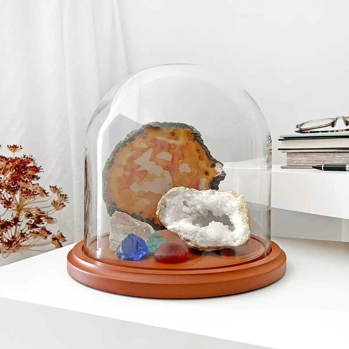 Plymor Glass Display Dome Cloche 8" x 8" Walnut MDF Base | Elegant Home & Retail Decor - view 2