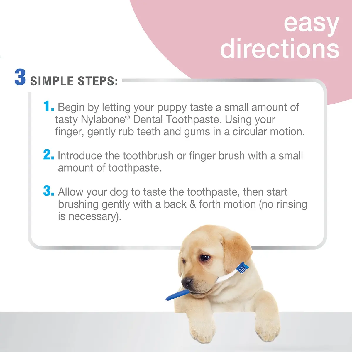 Nylabone Advanced Oral Care Puppy Dental Kit Puppy Original 3 Count - view 3