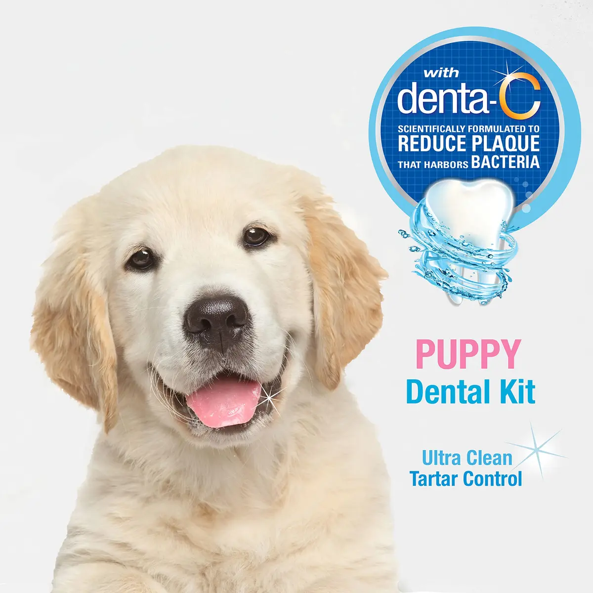 Nylabone Advanced Oral Care Puppy Dental Kit Puppy Original 3 Count - view 4