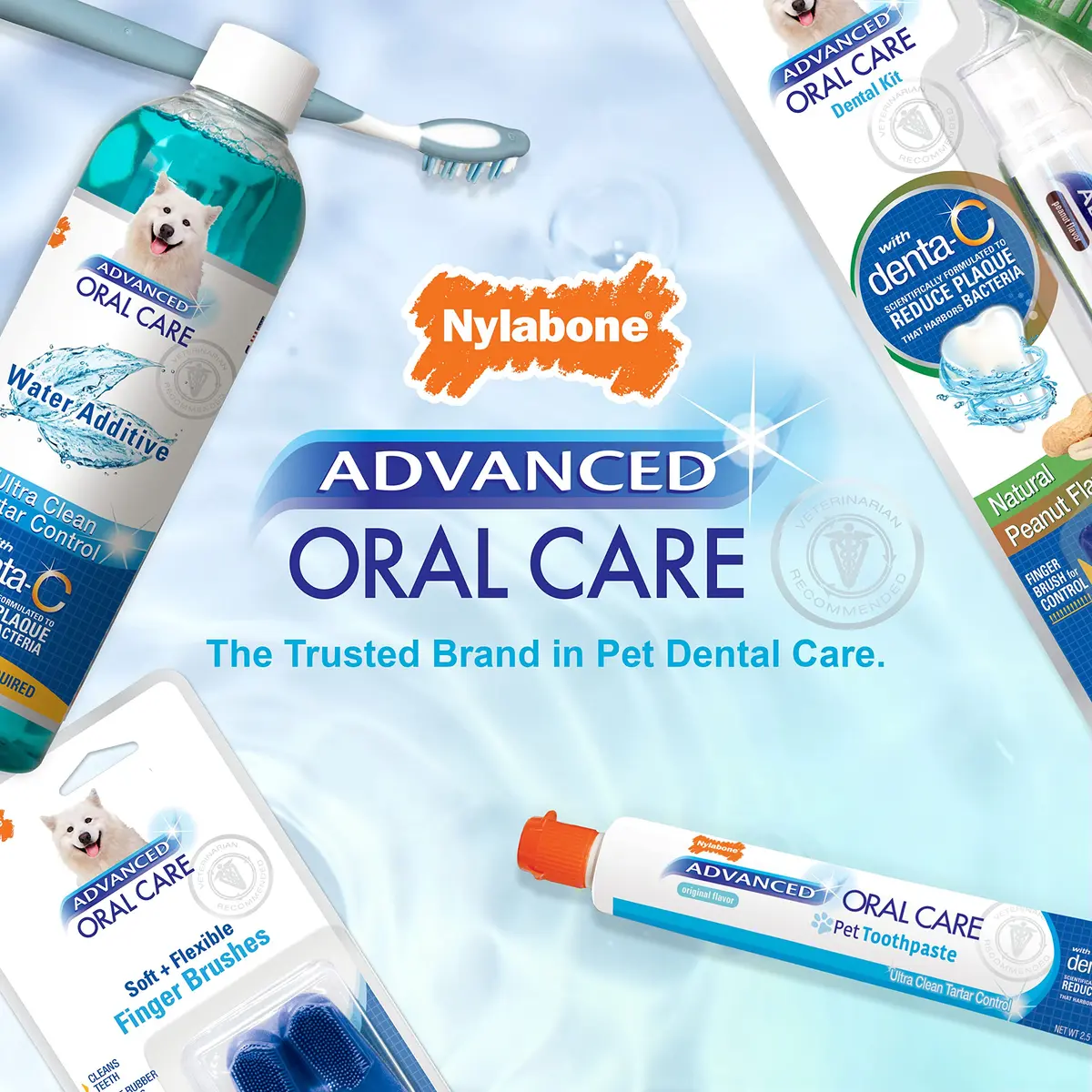 Nylabone Advanced Oral Care Natural Dog Dental Kit Peanut Flavor 2.5 oz (74ml) | Vet Recommended for Healthy Teeth & Gums - view 7