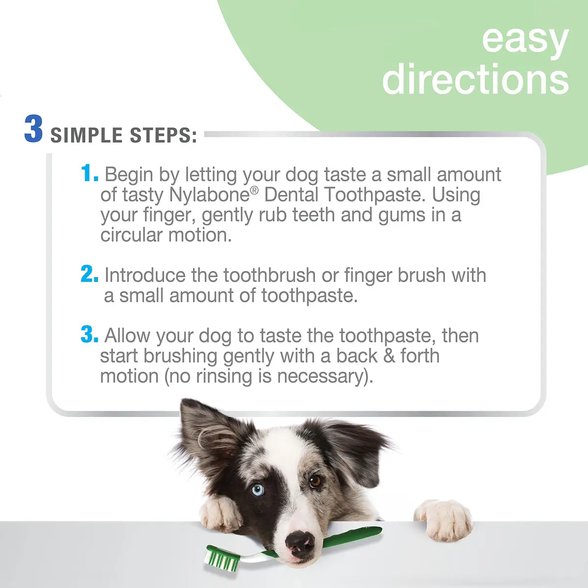 Nylabone Advanced Oral Care Natural Dog Dental Kit Peanut Flavor 2.5 oz (74ml) | Vet Recommended for Healthy Teeth & Gums - view 3
