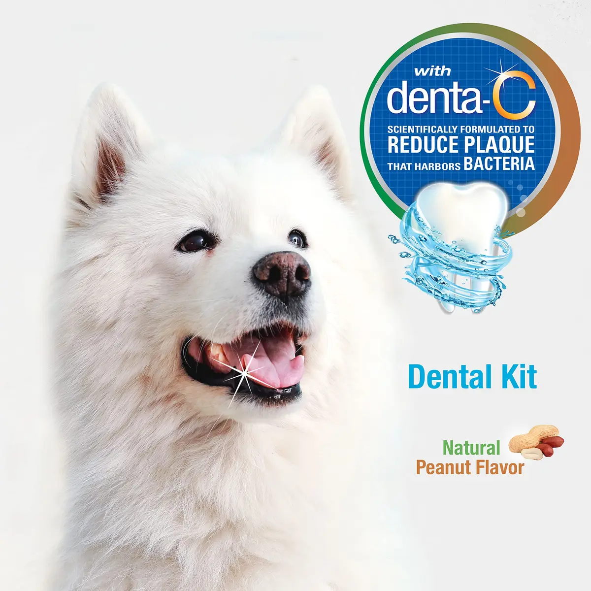 Nylabone Advanced Oral Care Natural Dog Dental Kit Peanut Flavor 2.5 oz (74ml) | Vet Recommended for Healthy Teeth & Gums - view 4