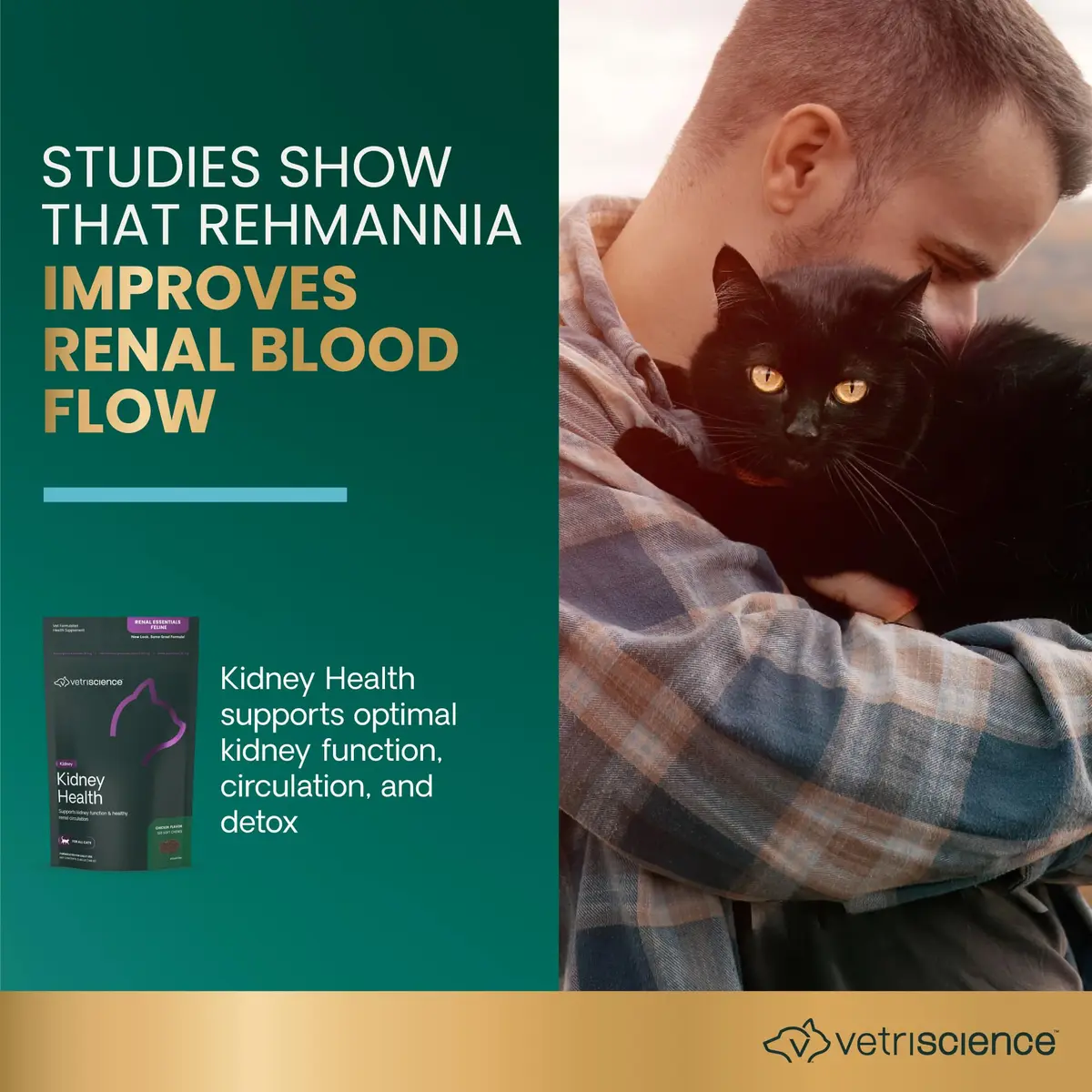 VetriScience Kidney Health Chews for Cats, 120 Count | Supports Kidney Function & Hydration - view 3