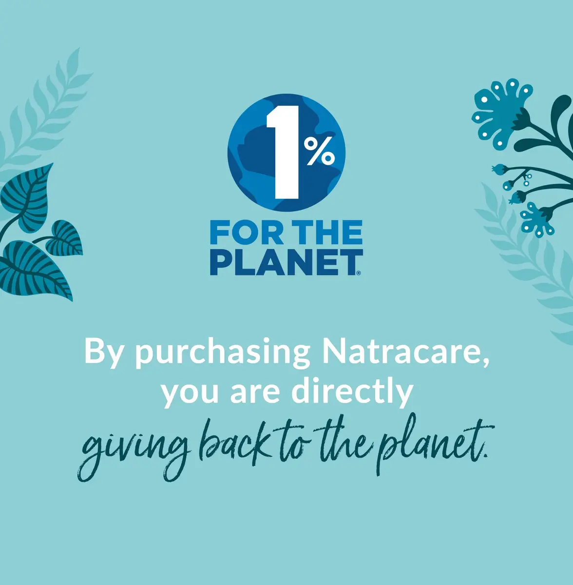 Natracare Slim Fitting Ultra Pads with Wings, Super, 12 Pads (10.5 cm x 24 cm) | Certified Organic Cotton, Plastic-Free - view 7