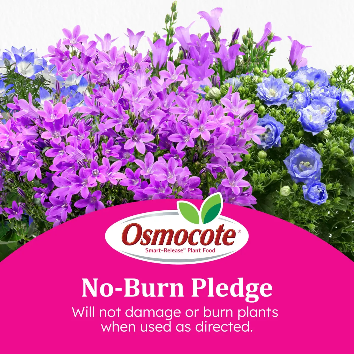 Osmocote Smart-Release Plant Food Plus Outdoor & Indoor Granular Fertilizer 0.45 kg (1 lb) | Continuous Release Nutrition for All Plants - view 7