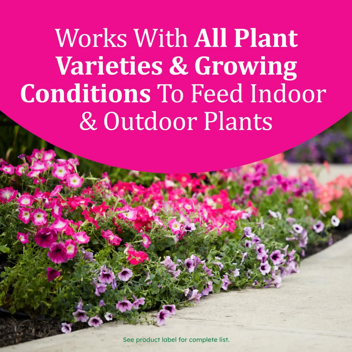Osmocote Smart-Release Plant Food Plus Outdoor & Indoor Granular Fertilizer 0.45 kg (1 lb) | Continuous Release Nutrition for All Plants - view 3