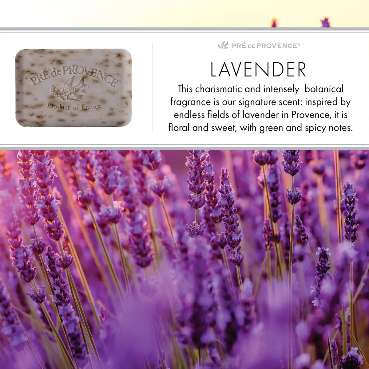 Pre de Provence Shea Butter French Moisturizing Soap Bar, Lavender | Long Lasting Rich Lather, Quad Milled, 5.3 Oz - view 2