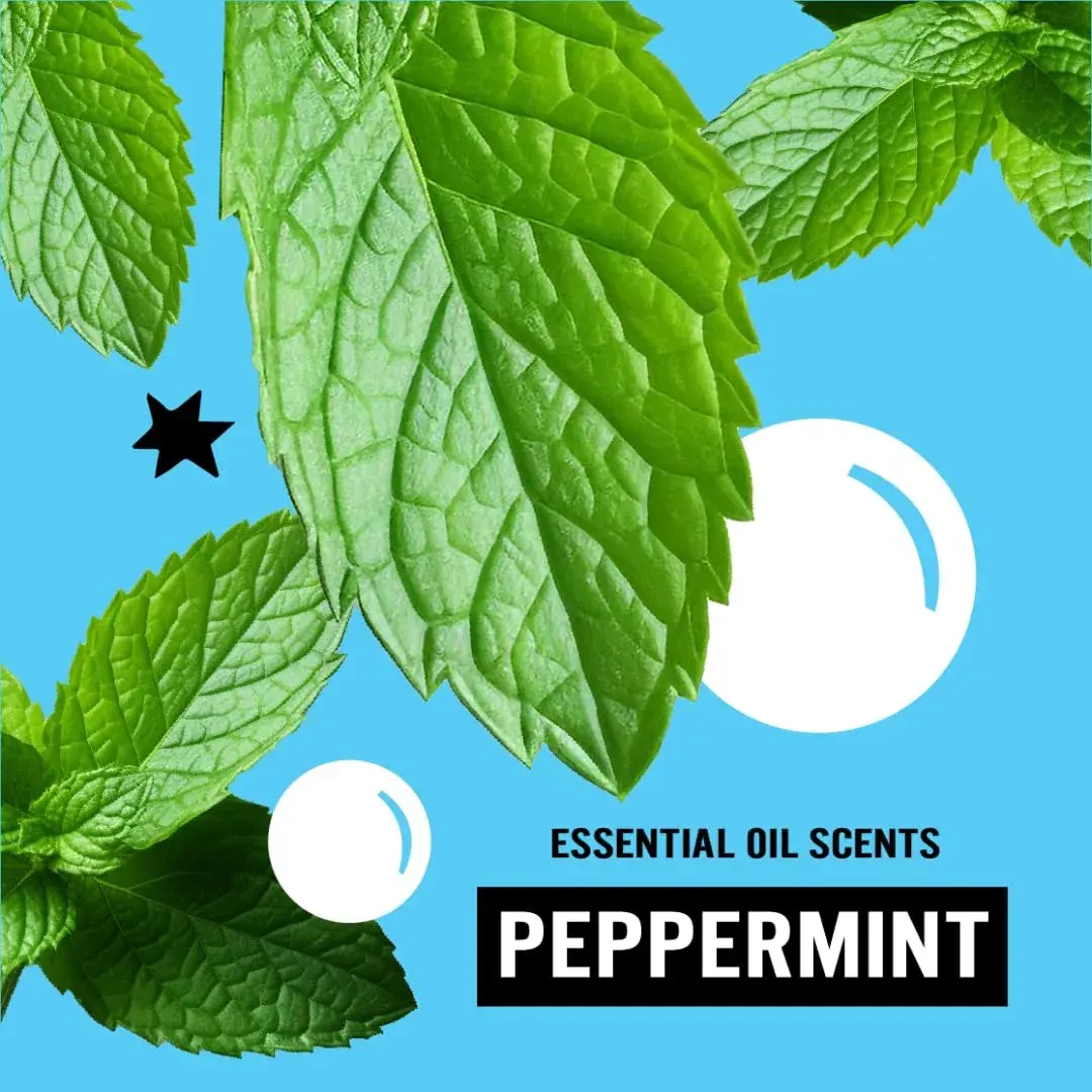 Molly's Suds Original Laundry Detergent Powder Peppermint 2.27 kg (79 oz) | Gentle Formula for Sensitive Skin - view 6