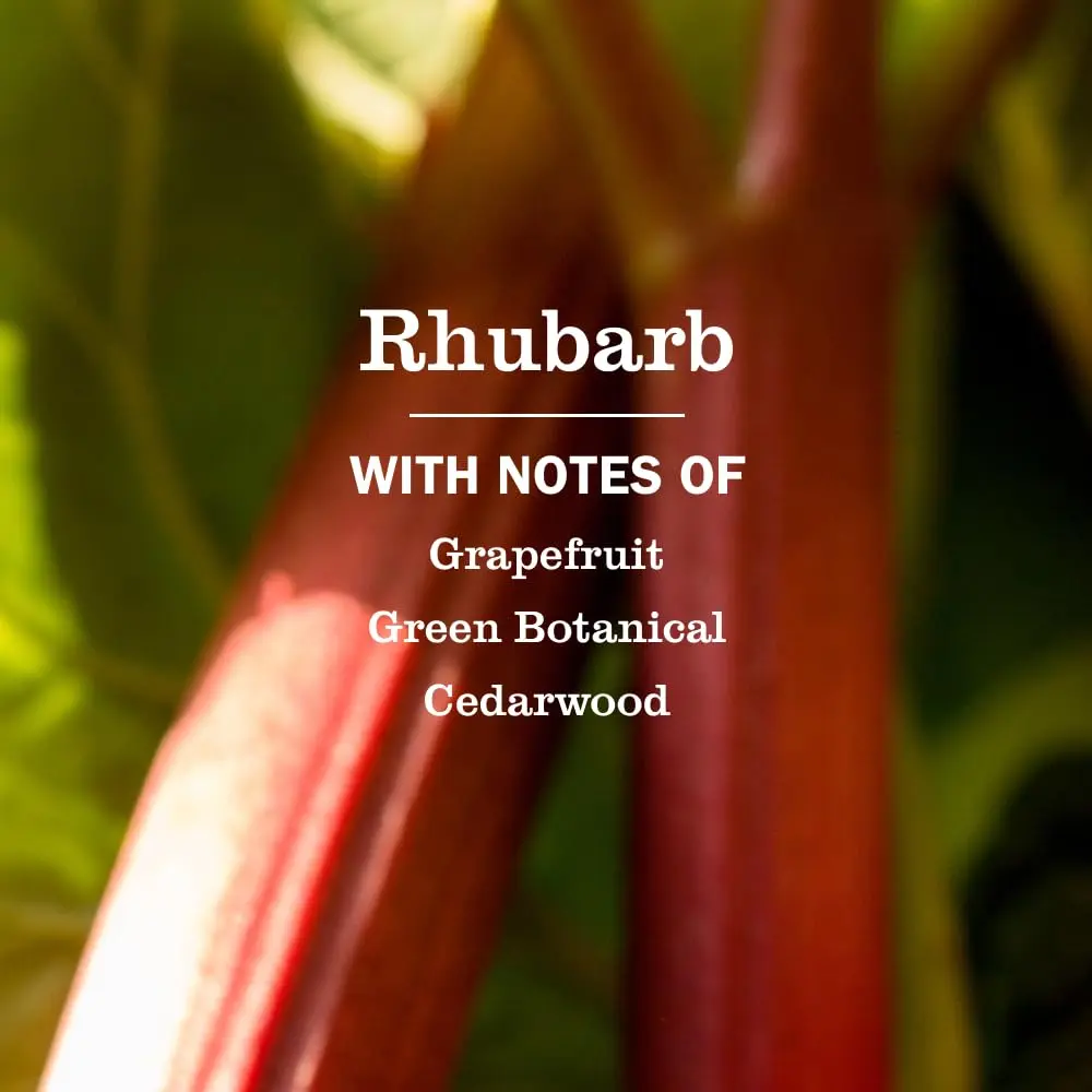 Mrs. MEYER'S Hand Soap Rhubarb Scent | Moisturizing, Garden-Inspired Fragrance (70-120 chars) - view 2