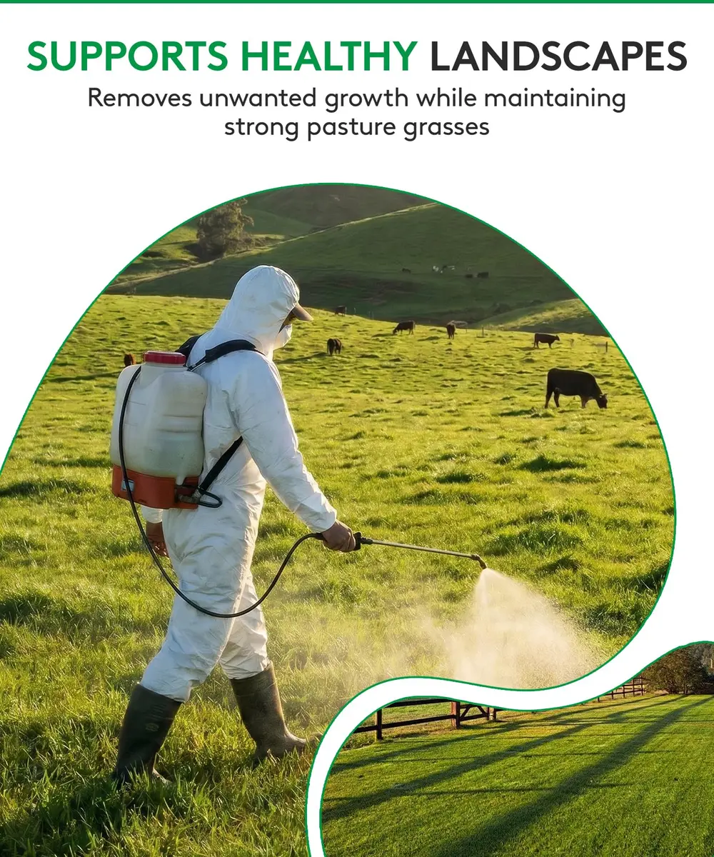 ALLIGARE MSM 60 DF - Selective Broadleaf Weed & Brush Killer 16 oz | Economical, Targeted Control - view 6