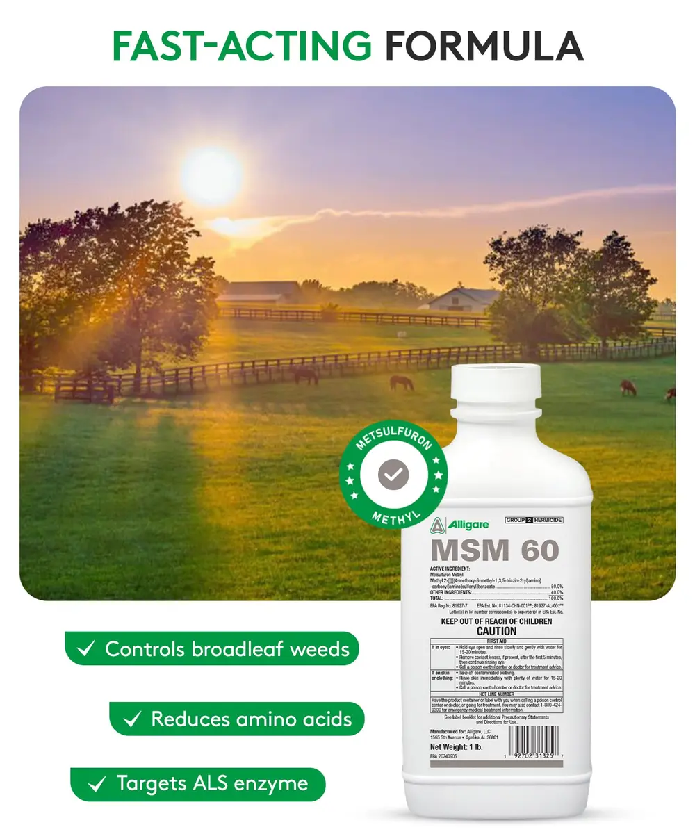 ALLIGARE MSM 60 DF - Selective Broadleaf Weed & Brush Killer 16 oz | Economical, Targeted Control - view 2