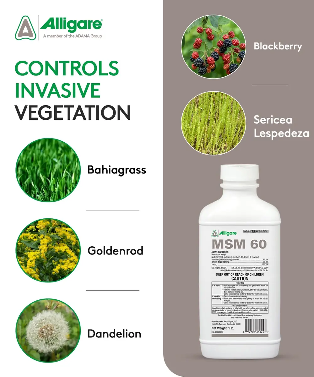 ALLIGARE MSM 60 DF - Selective Broadleaf Weed & Brush Killer 16 oz | Economical, Targeted Control - view 3