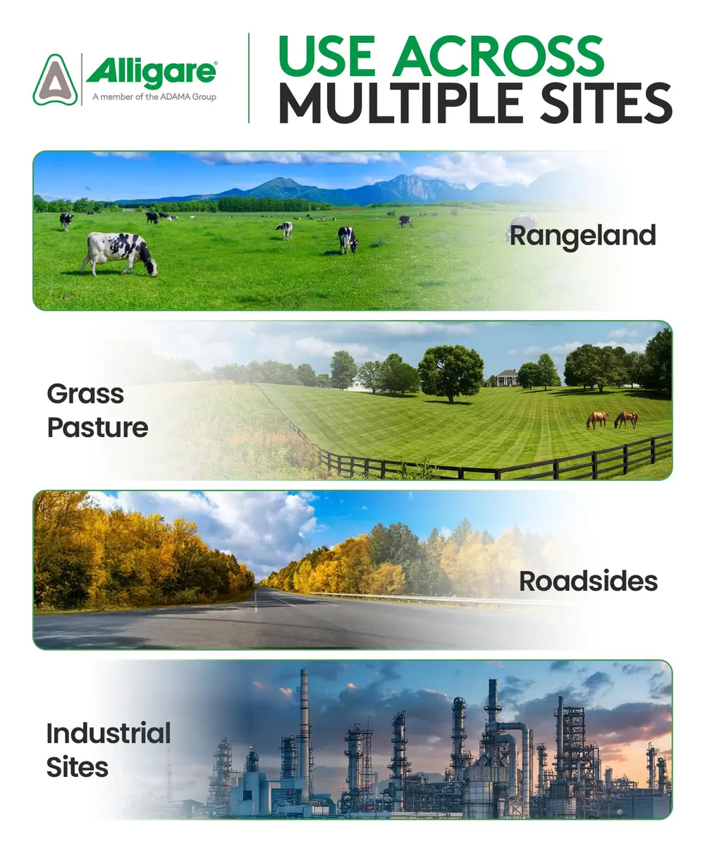 ALLIGARE MSM 60 DF - Selective Broadleaf Weed & Brush Killer 16 oz | Economical, Targeted Control - view 4