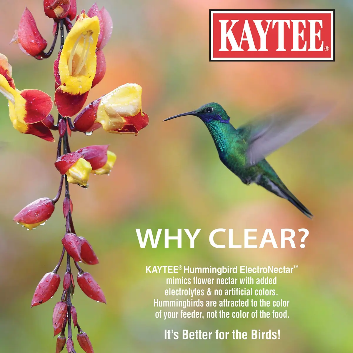 Kaytee Hummingbird ElectroNectar 16 Fl Oz | Hydrating Energy Drink for Wild Birds - view 3