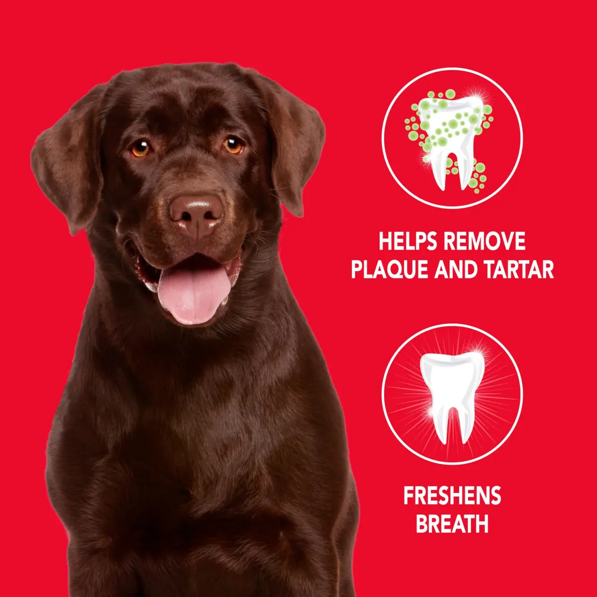 Petrodex Dog Toothpaste Peanut Flavor 70.8g (2.5oz) | Cleans Teeth & Freshens Breath - main product image