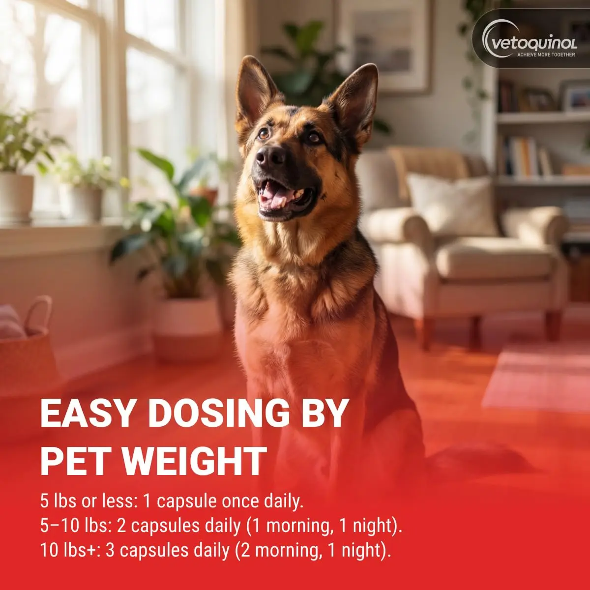 Vetoquinol Azodyl Probiotic Supplement 90 Count Capsules | Essential Kidney Support for Dogs & Cats - view 6