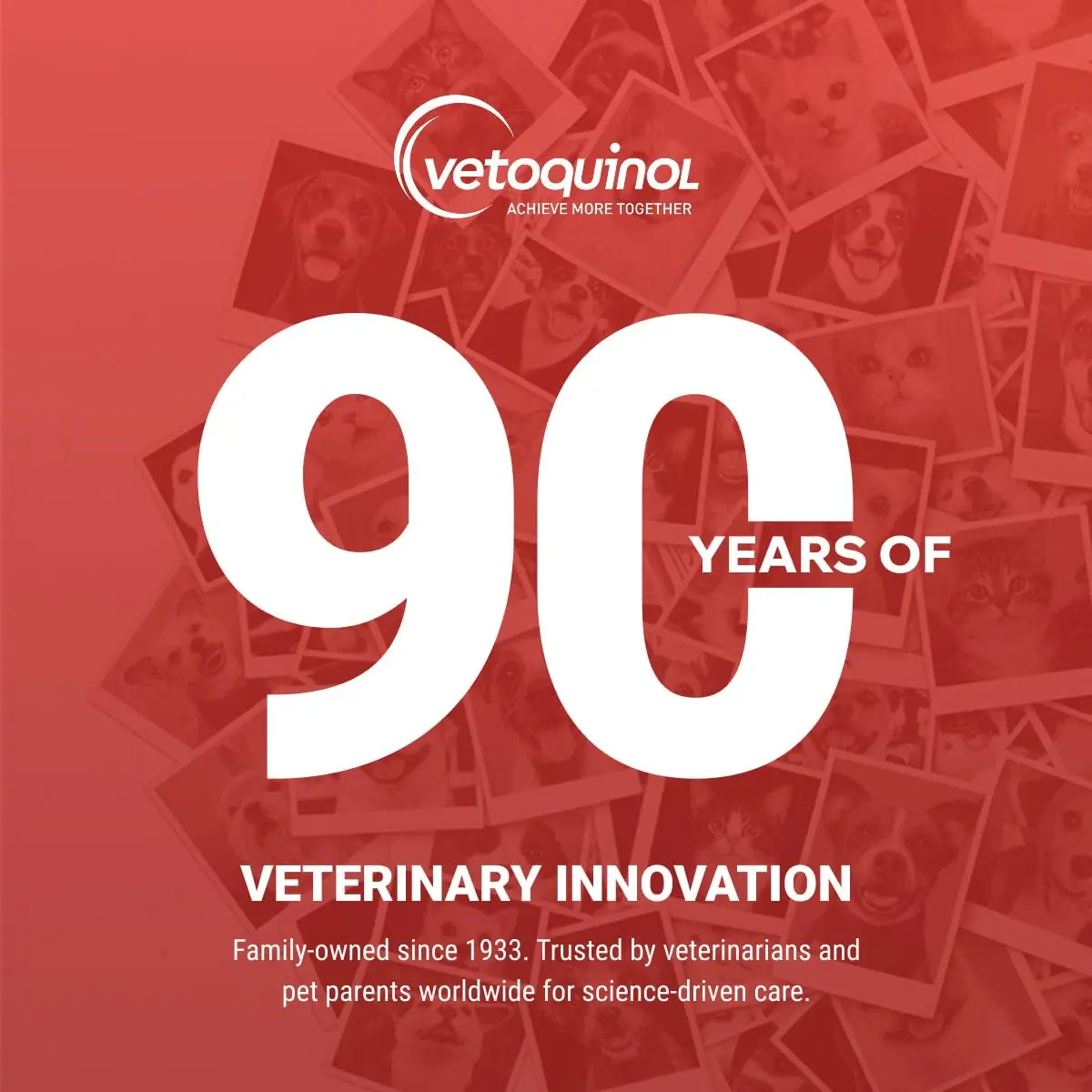 Vetoquinol Azodyl Probiotic Supplement 90 Count Capsules | Essential Kidney Support for Dogs & Cats - view 8