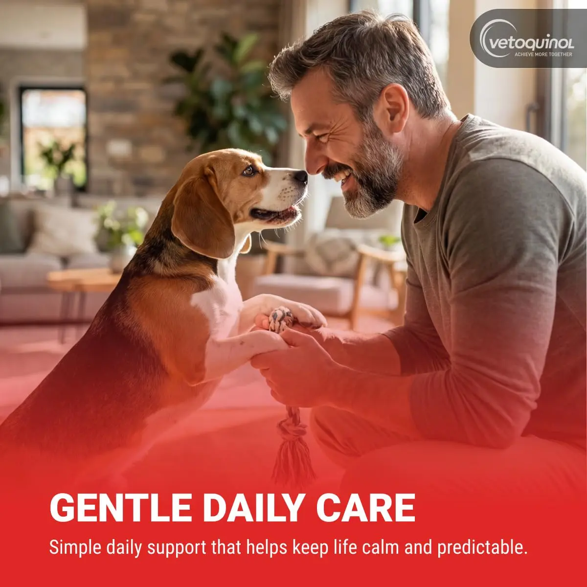 Vetoquinol Azodyl Probiotic Supplement 90 Count Capsules | Essential Kidney Support for Dogs & Cats - view 9