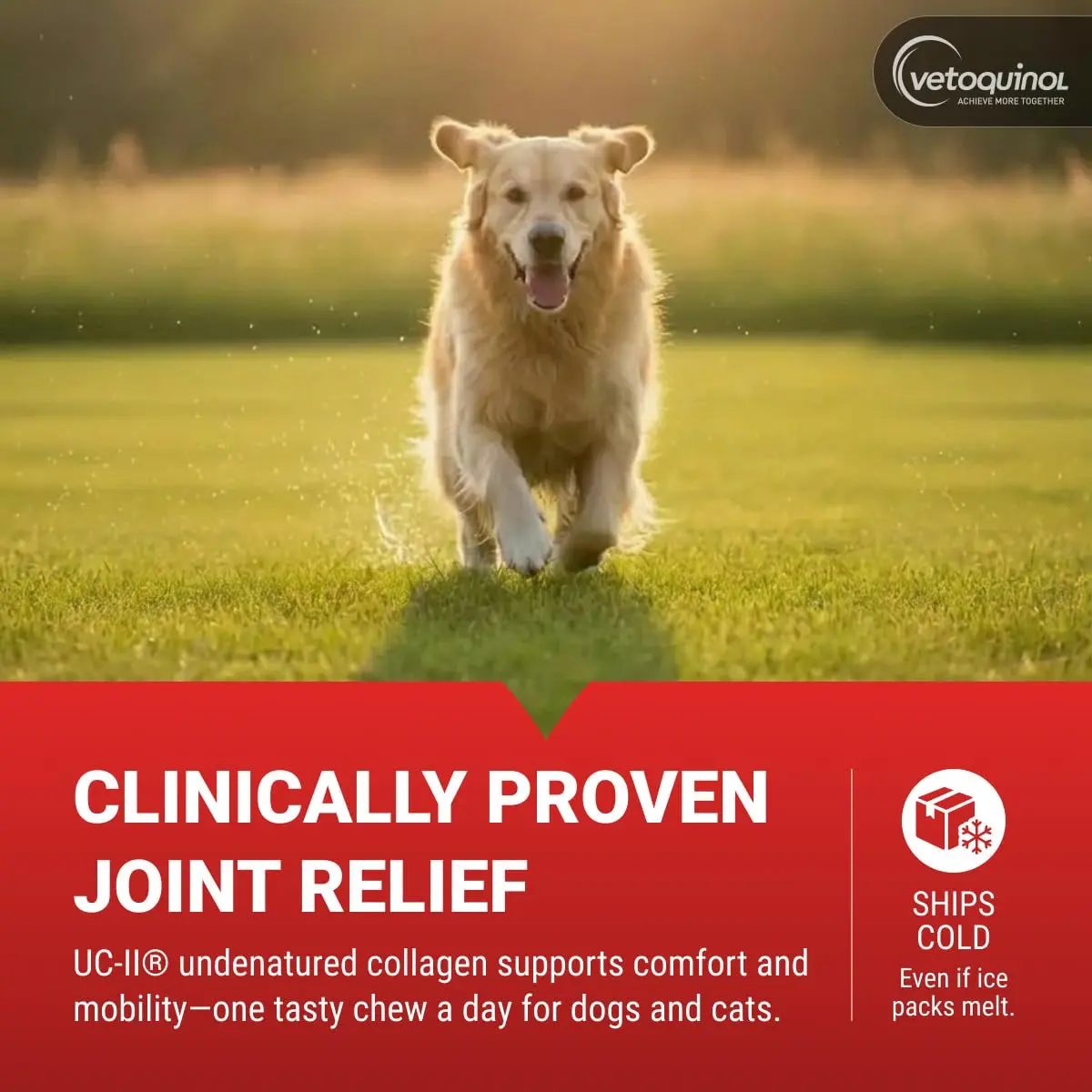 Vetoquinol Azodyl Probiotic Supplement 90 Count Capsules | Essential Kidney Support for Dogs & Cats - view 2