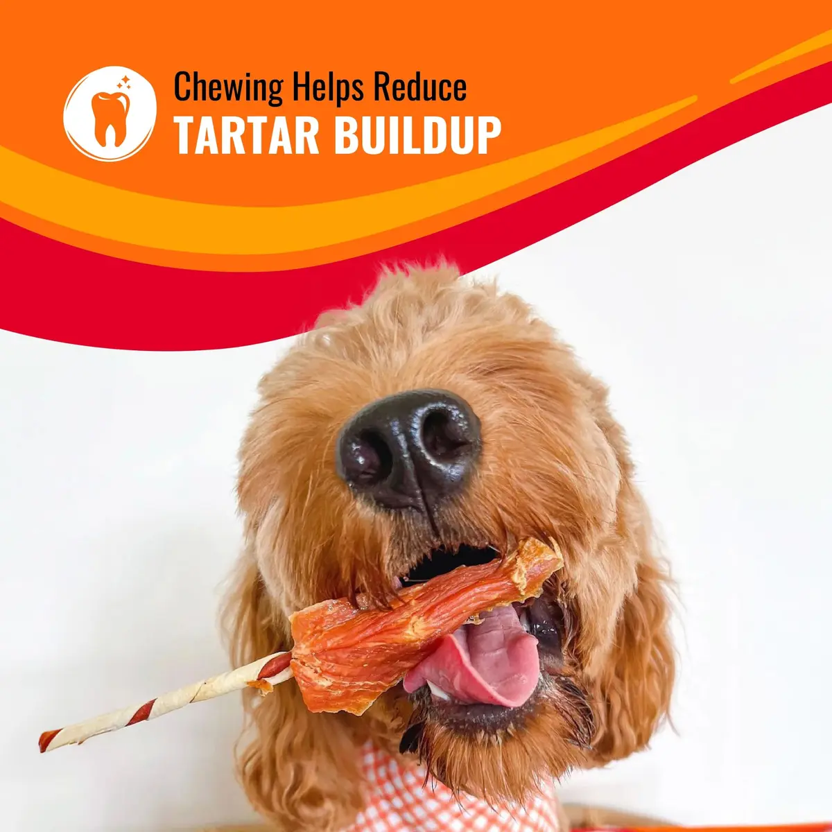 Good 'n' Fun Triple Flavor Kabobs Dog Treats 113g (4 oz) | Long-Lasting Protein Chews for All Dog Breeds - view 7