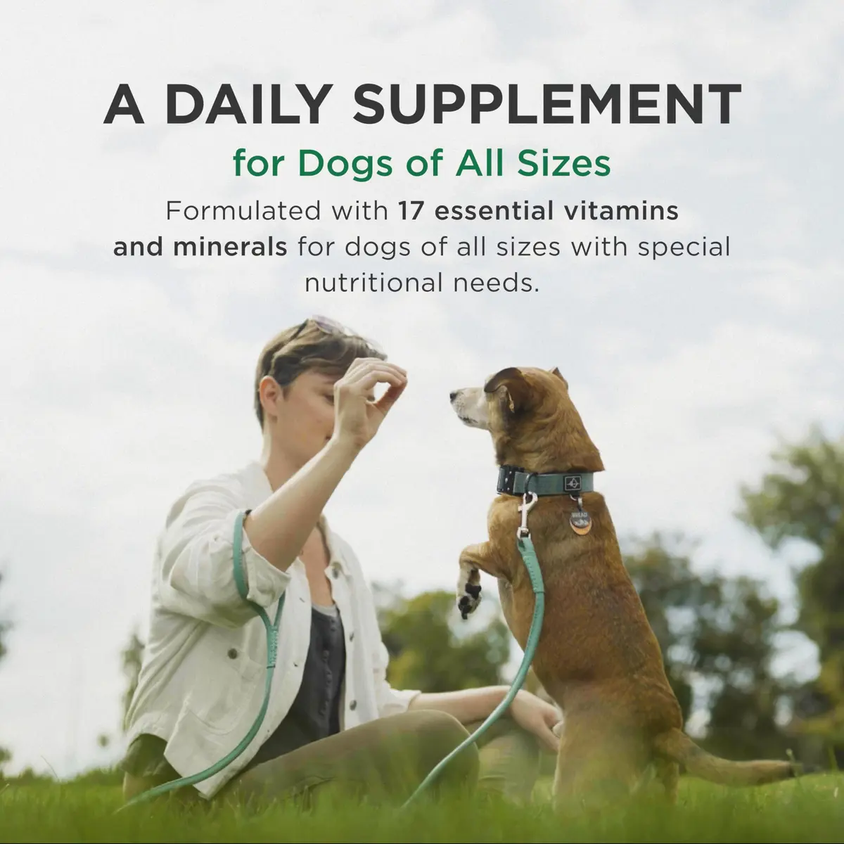 Pet-Tabs Multivitamin Supplement for Dogs & Puppies 180 Chewables | Supports Nutrition & Wellness - view 3