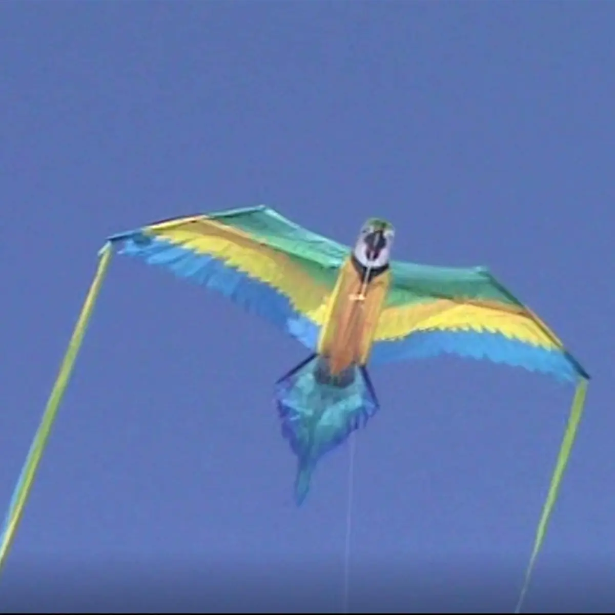 WindNSun Rainforest Nylon Kite, Macaw, 60 Inches Wide | Durable Fiberglass & Ripstop Nylon - view 7