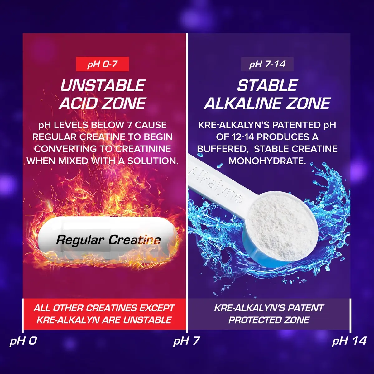 EFX Sports Kre-Alkalyn EFX Powder | pH Correct Creatine Monohydrate | Muscle & Strength | 66 Servings (Unflavored) - view 5