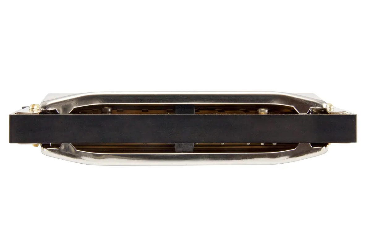 Hohner Special 20 Harmonica, 10 Holes Major C Bundle with Hard Case & Juliet Music Polishing Cloth | German Quality Craftsmanship - view 4