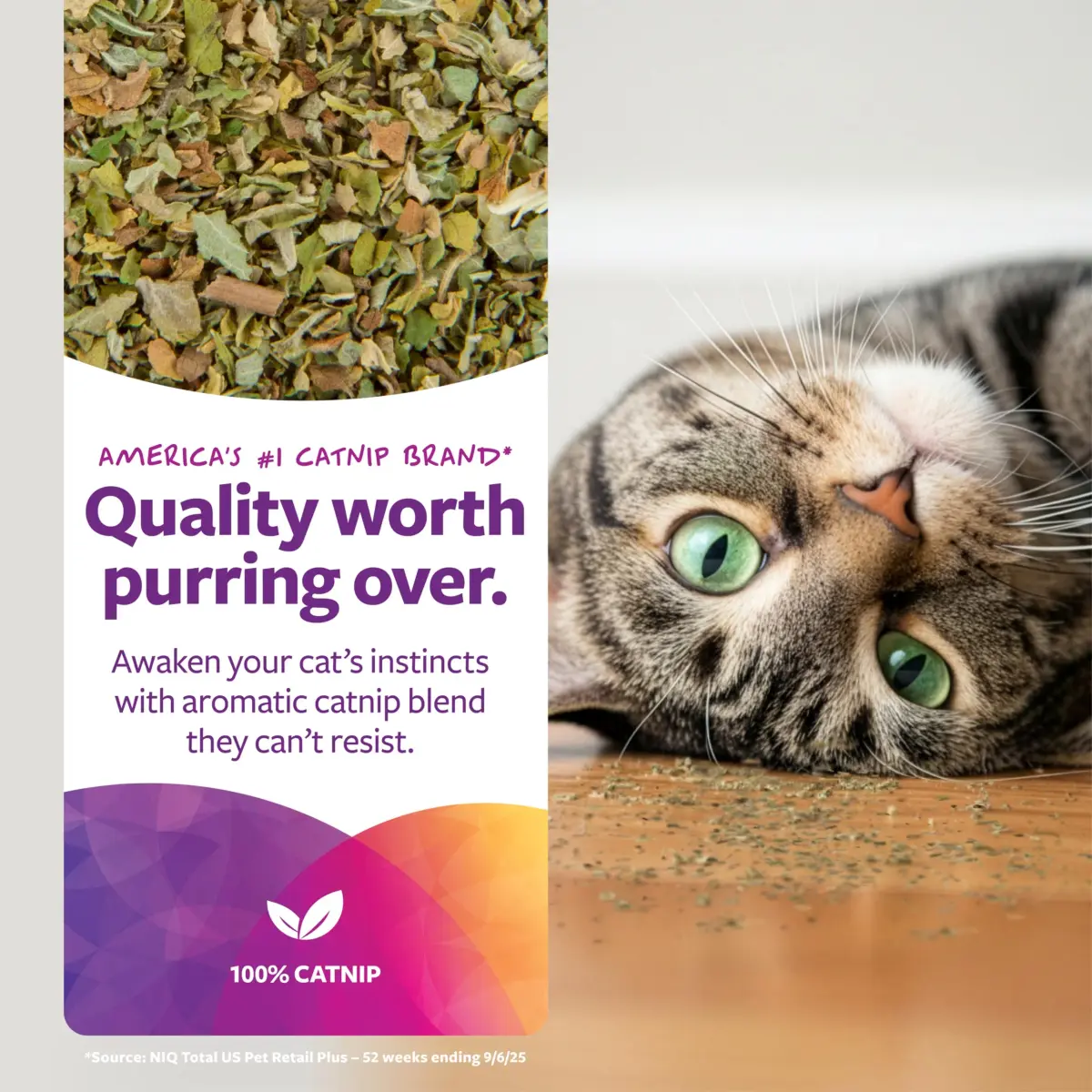 SmartyKat Natural Pure & Potent Catnip Attractant 2 oz (56.7 g) | Stimulating Training Aid for Cats & Kittens - view 2