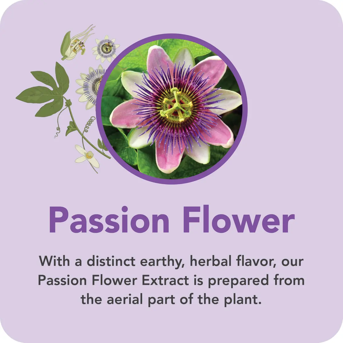 Botanic Choice Passion Flower Liquid Extract, Classic Calming Herb | Alcohol-Free, 1 Fl Oz - view 6