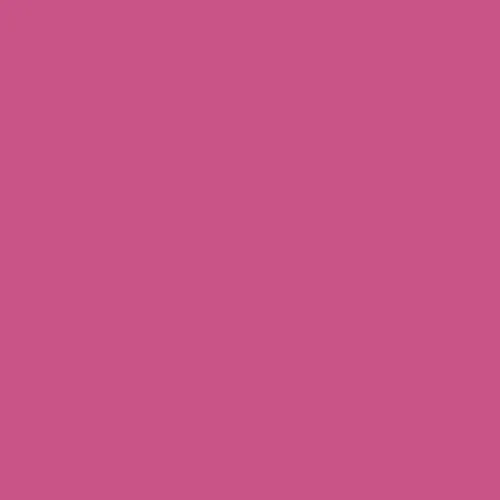 Apple Barrel Acrylic Paint Bright Magenta 2 oz (59 ml) | Non-Toxic Craft Paint for DIY Projects - main product image