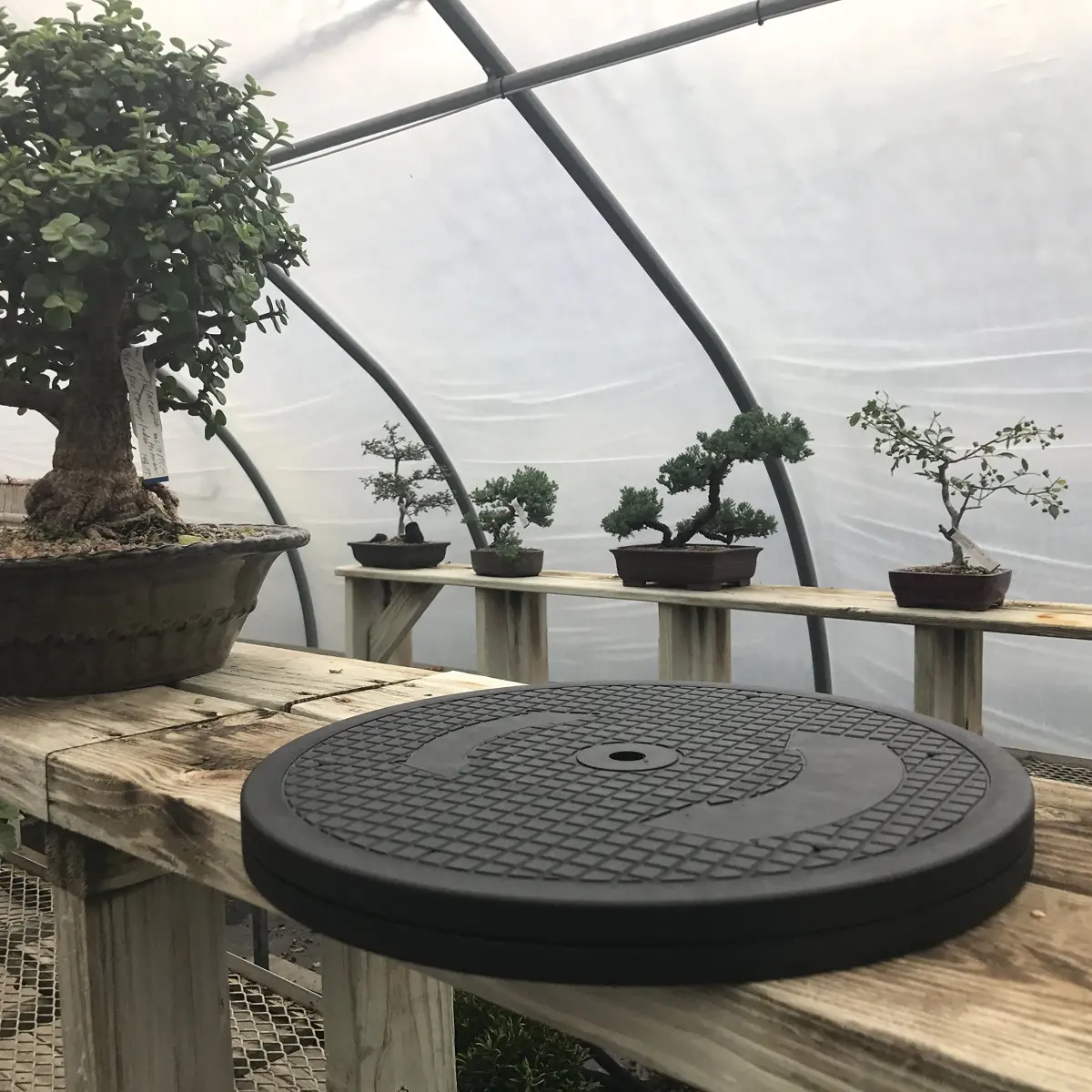Mighty Mini Bonsai Tree Turntable 12.5 inch (31.75 cm) Base | Smooth 360-Degree Rotation for Easy Pruning & Display - view 2