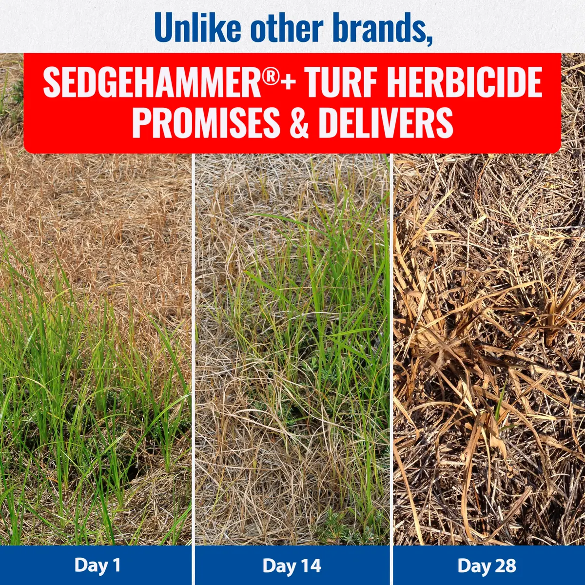SEDGEHAMMER Sedgehammer Plus Turf Herbicide 13.5g | Nutsedge Killer for Lawns, Selective Weed Control - view 5