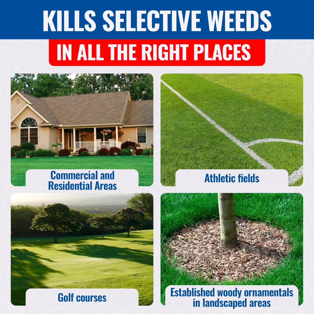 SEDGEHAMMER Sedgehammer Plus Turf Herbicide 13.5g | Selective Nutsedge Killer for Lawns - view 7