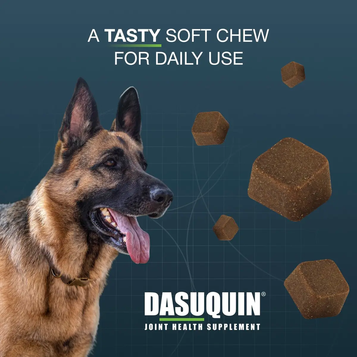 Nutramax Dasuquin Joint Support for Large Dogs 150 Soft Chews | Supports Healthy Joints & Cartilage - view 4
