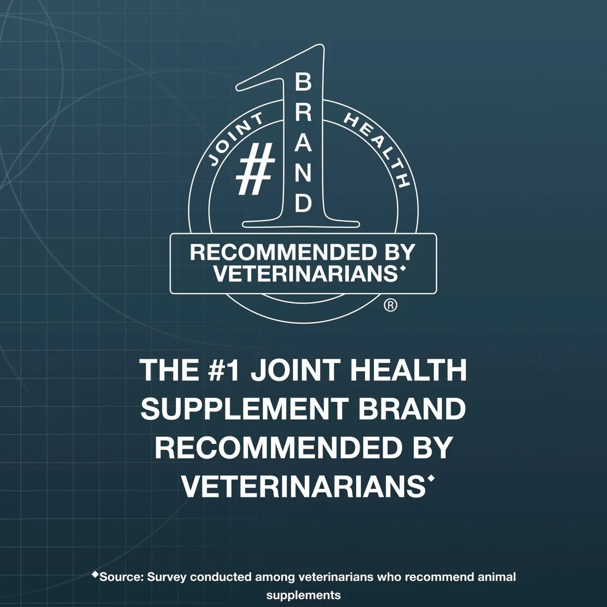 Nutramax Dasuquin Joint Support for Large Dogs 150 Soft Chews | Supports Healthy Joints & Cartilage - view 2