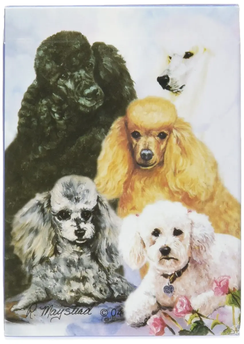 Best Nest Wellness Best Friends Playing Cards - Ruth Maystead Poodle | Standard Poker Size 3.5x2.5" - main product image